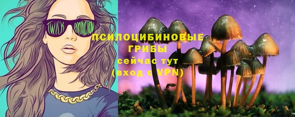 первитин Дегтярск