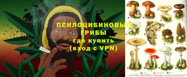 молекула духа Сатка