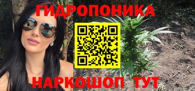 ГАЛЛЮЦИНОГЕННЫЕ ГРИБЫ Аргун