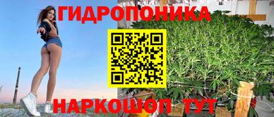 ГАЛЛЮЦИНОГЕННЫЕ ГРИБЫ Аргун