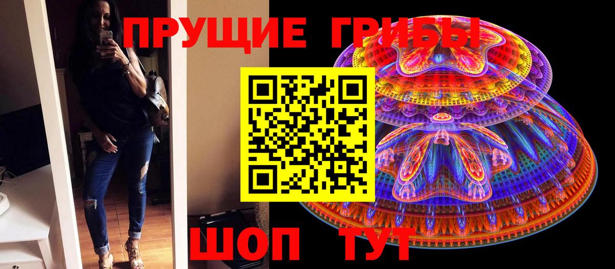 Псилоцибиновые грибы GOLDEN TEACHER  Вход с VPN  Белая Калитва 