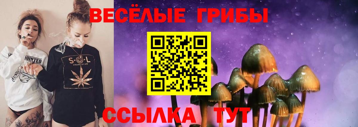 Псилоцибиновые грибы Cubensis Белая Калитва